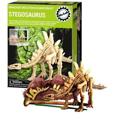 Afbeelding van 4m dinosaurus graven stegosaurus