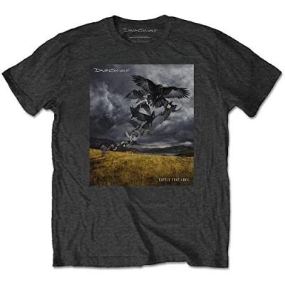 Afbeelding van David Gilmour Rattle That Lock Heren T shirt S Grijs