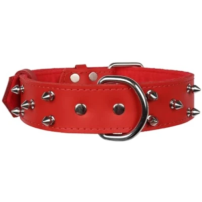 Afbeelding van Rode, Leren Halsband met Spikes, Hondenhalsband 40mm/57cm