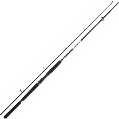 Afbeelding van Daiwa BG Pilk 2,40m 50 165g Boothengel
