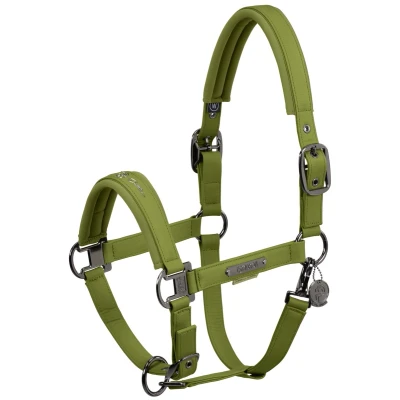 Afbeelding van Eskadron Halster Faux Leather Platinum Moss Green VB