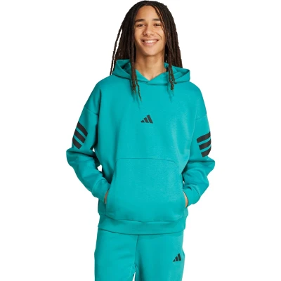Afbeelding van adidas Sportswear Future Icons 3 Stripes Hoodie Heren Groen L