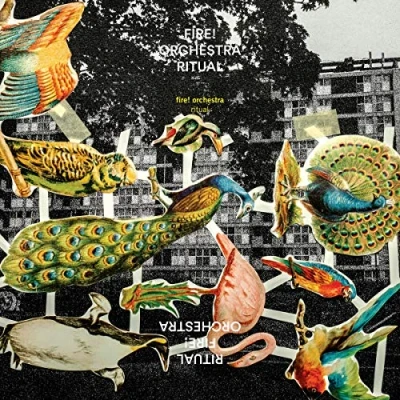 Afbeelding van Fire! Orchestra Ritual (CD)