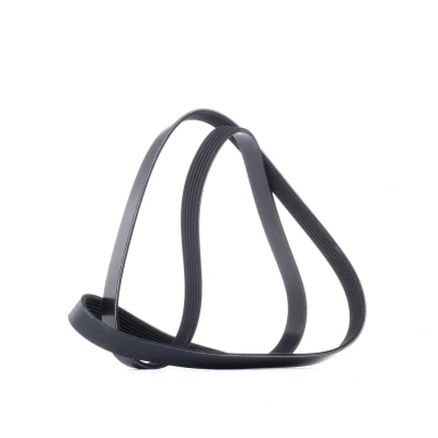 Afbeelding van Poly V riem DAYCO 6PK1600