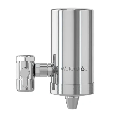 Afbeelding van Waterdrop WD FC 06 kraan van roestvrij staal, waterfiltersysteem met koolstofblok, waterfilter de kraan, vermindert chloor, slechte smaak en geur (1 filter inbegrepen)