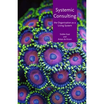 Image de Systemic consulting