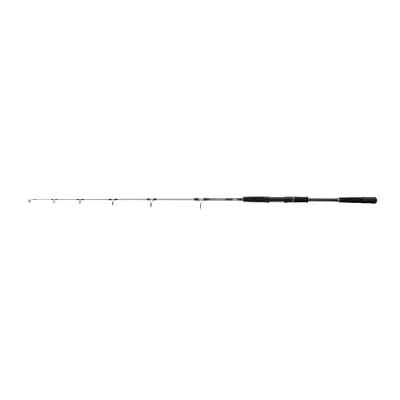 Afbeelding van Mitchell Tanager SW Zeevis Jig Hengel 1.60m (100 250g) Boothengel