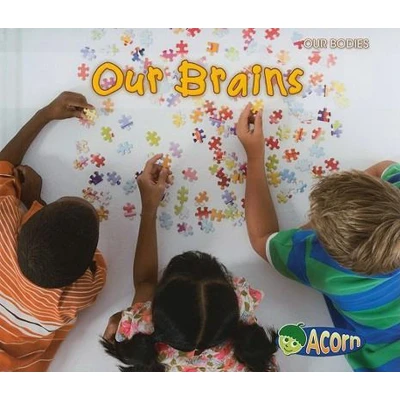 Afbeelding van Our Brains