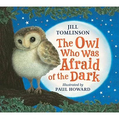 Afbeelding van The Owl Who Was Afraid Of Dark