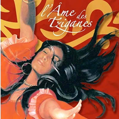 Afbeelding van Various L Ame Des Tziganes