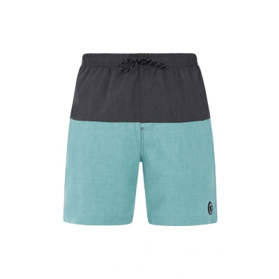 Afbeelding van Protest HELI Zwemshorts, Heren, Maat: Small, Arcticgreen