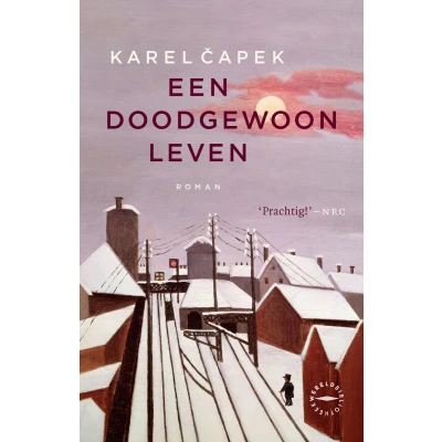 Afbeelding van Een doodgewoon leven
