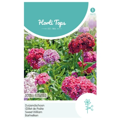 Afbeelding van Dianthus barbatus dubbelbloemig gemengd Hortitops