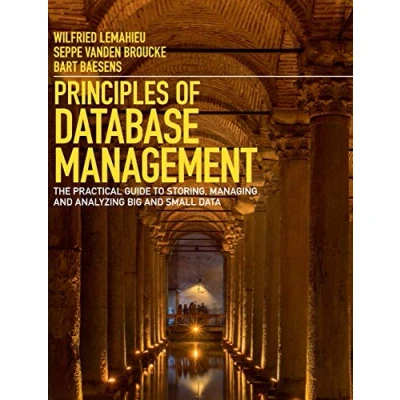 Afbeelding van Principles of Database Management