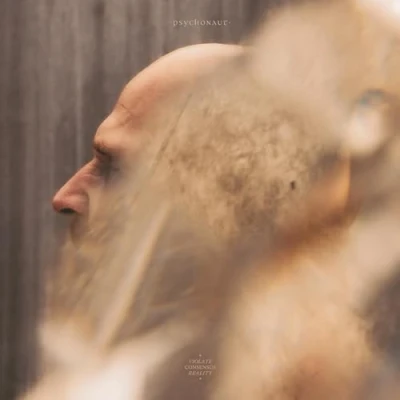 Afbeelding van Psychonaut Violate Consensus Reality (CD)