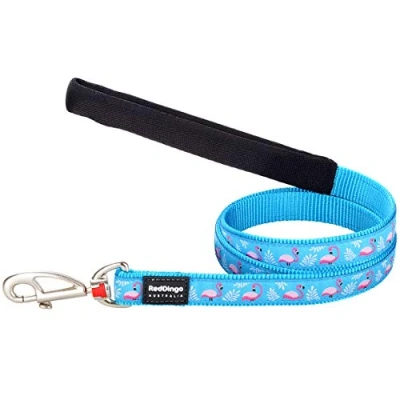 Afbeelding van Hondenriem Red Dingo STYLE FLAMINGO Turkoois 15mm x 120 cm