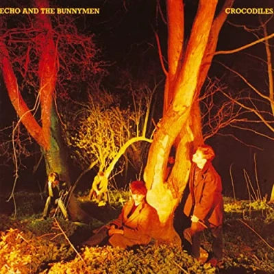 Afbeelding van Echo &amp; The Bunnymen Crocodiles