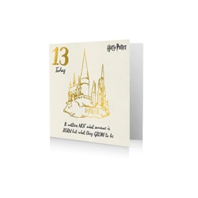Afbeelding van Danilo Promotions HP043 verjaardagskaart 13 jaar Harry Potter verjaardagskaart,