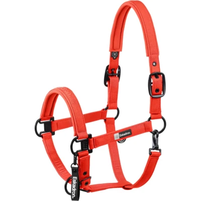 Afbeelding van Eskadron Halster Dynamics Sparkle Double Pin Rood Full Agradi.be