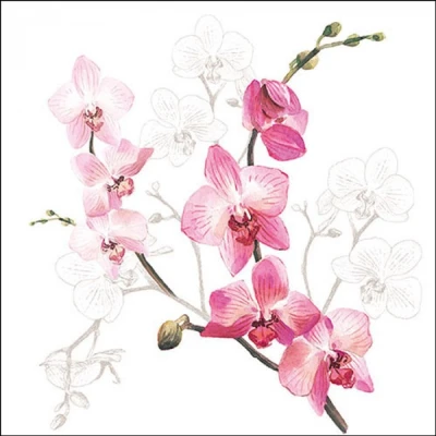 Afbeelding van 20 Papieren Lunch Servetten Orchid