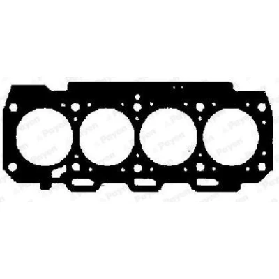 Afbeelding van PAYEN AA5571 Koppakking 0,92 Metaallagen pakking FIAT: Doblo I Cargo, BRAVO 1, Punto II Hatchback, ALFA ROMEO: 147, 156 Saloon, SAAB: 9 3 Saloon