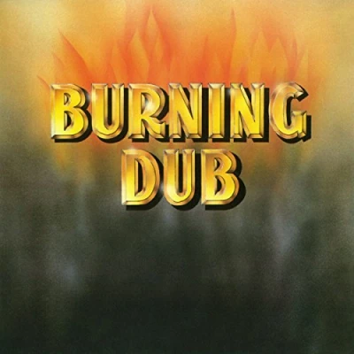 Afbeelding van Revolutionaries Burning Dub (LP)