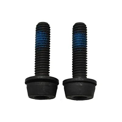 Afbeelding van Campagnolo Bouten Voor Schijfremklauw Achter 34 Mm 2 Stuks