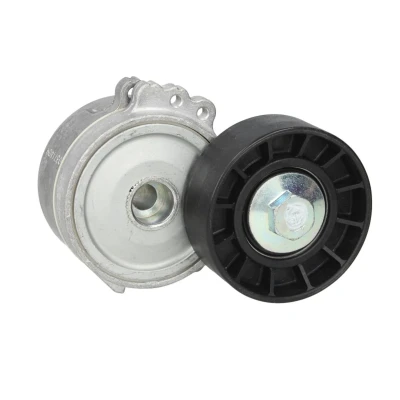 Afbeelding van Skf Spanrol (poly) V riem VKM 33320