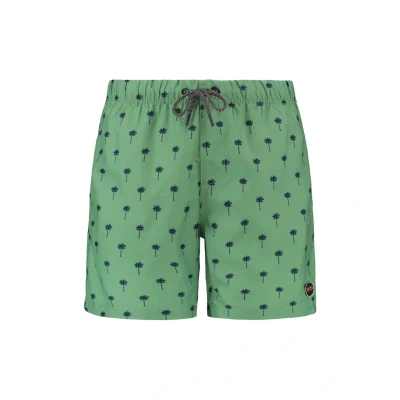 Afbeelding van Shiwi Zwemshort Scratch Palm Groen/dessin S