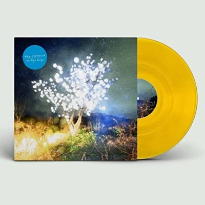Afbeelding van Notwist Vertigo Days (2 LPs)