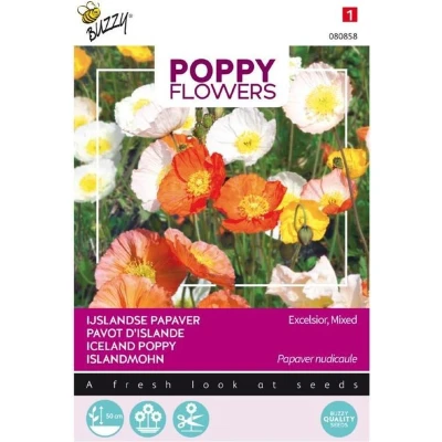 Afbeelding van Poppies of the world papaver IJslandse Buzzy