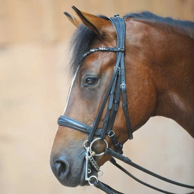 Image de Kavalkade Bridon Ivonne Noir Cob