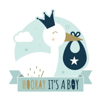 Afbeelding van Decoration sign Newborn baby boy
