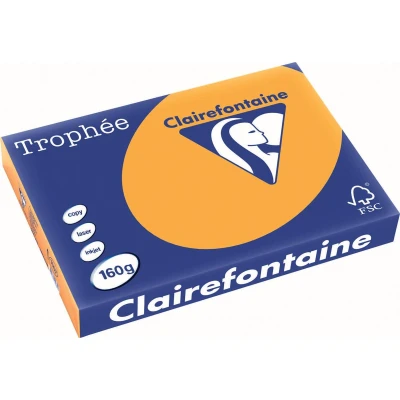 Afbeelding van Clairefontaine Trophée Pastel, gekleurd papier, A3, 160 g, 250 vel, oranje papier