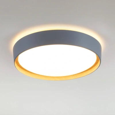 Afbeelding van Plafondlamp Emilia, drievoudig dimbaar, grijs