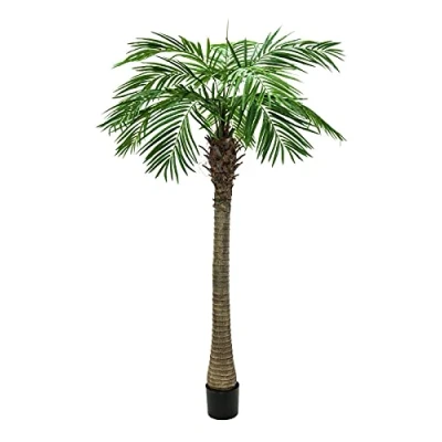 Afbeelding van Europalms Phoenix palmboom luxor, 210cm