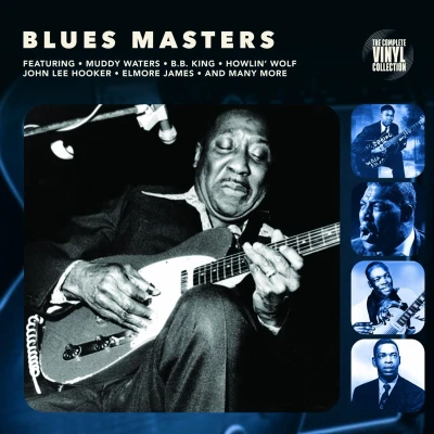 Afbeelding van Various Artists Blues Masters (LP)