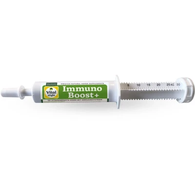 Afbeelding van VITALstyle ImmunoBoost +