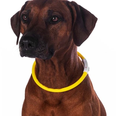 Afbeelding van HKM Halsband LED Geel