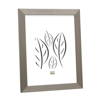 Afbeelding van Deknudt Frames Fotolijst Zilver S41VD1 Voor foto: 15x30 cm