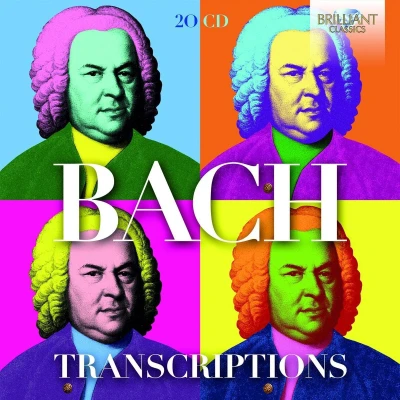 Afbeelding van Various Artists Bach Transcriptions (20 CD)