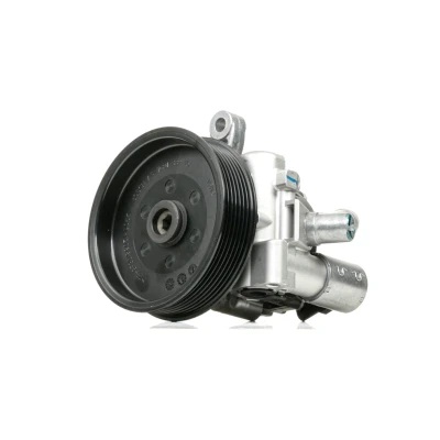 Afbeelding van Bosch Servopomp K S01 001 742