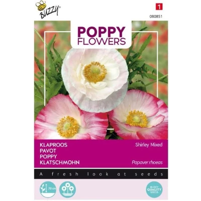 Afbeelding van Poppies of the world klaproos gemengd Buzzy
