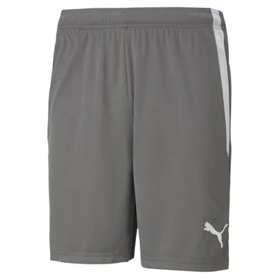 Afbeelding van Puma Teamliga Short Heren Grijs Maat: S