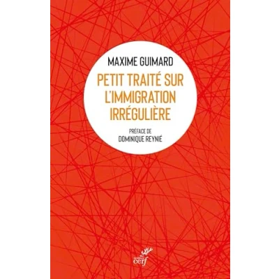 Afbeelding van Petit traité sur l&#039;immigration irrégulière
