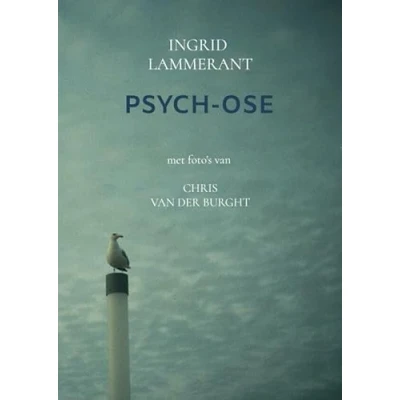 Afbeelding van Psych ose