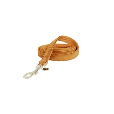 Afbeelding van Kentucky Dogwear Velvet Hondenlijn / Hondenriem Oranje L Breedte: 2 cm Lengte: 120cm