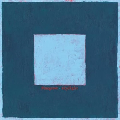 Afbeelding van Pinegrove Skylight (2 LP)