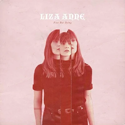 Afbeelding van Liza Anne Fine But Dying