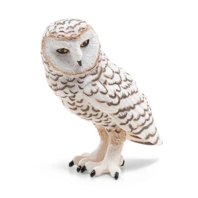 Image de PAPO HARFANG DES NEIGES